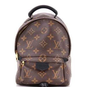 Louis Vuitton Palm Springs Backpack #204698L19B